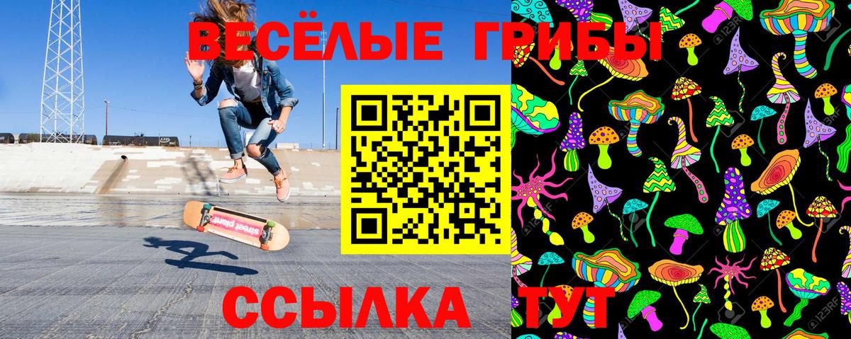дарнет шоп  Псилоцибиновые грибы прущие грибы  Галлюциногенные грибы мицелий  Вход с VPN  Дзержинск 
